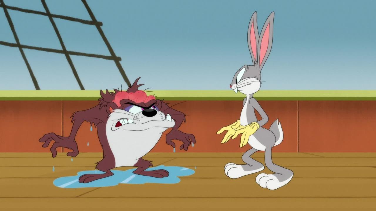 Looney Tunes Cartoons