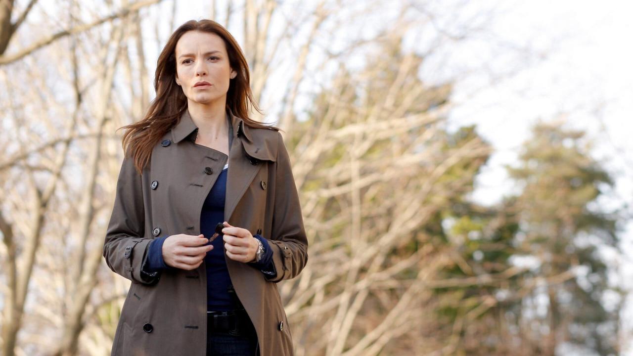 New York Section Criminelle S9 E13