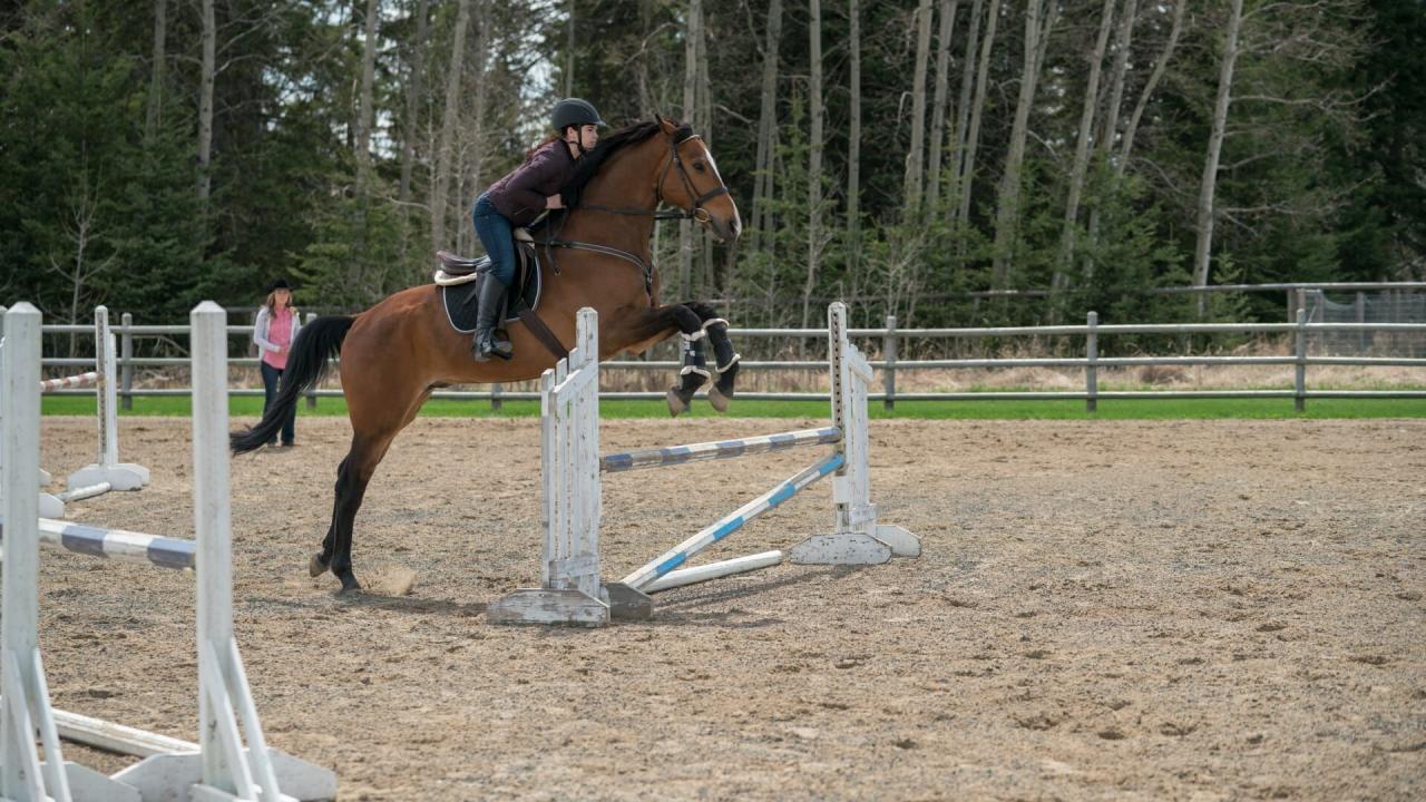 Heartland S11 E2