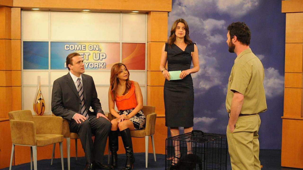 How I Met Your Mother S5 E19