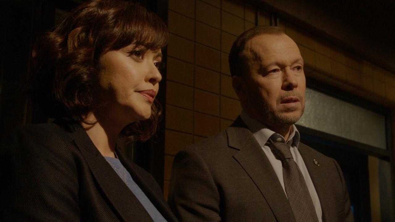 Blue Bloods S14 E13