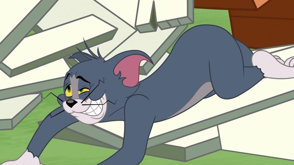 Tom et Jerry Show