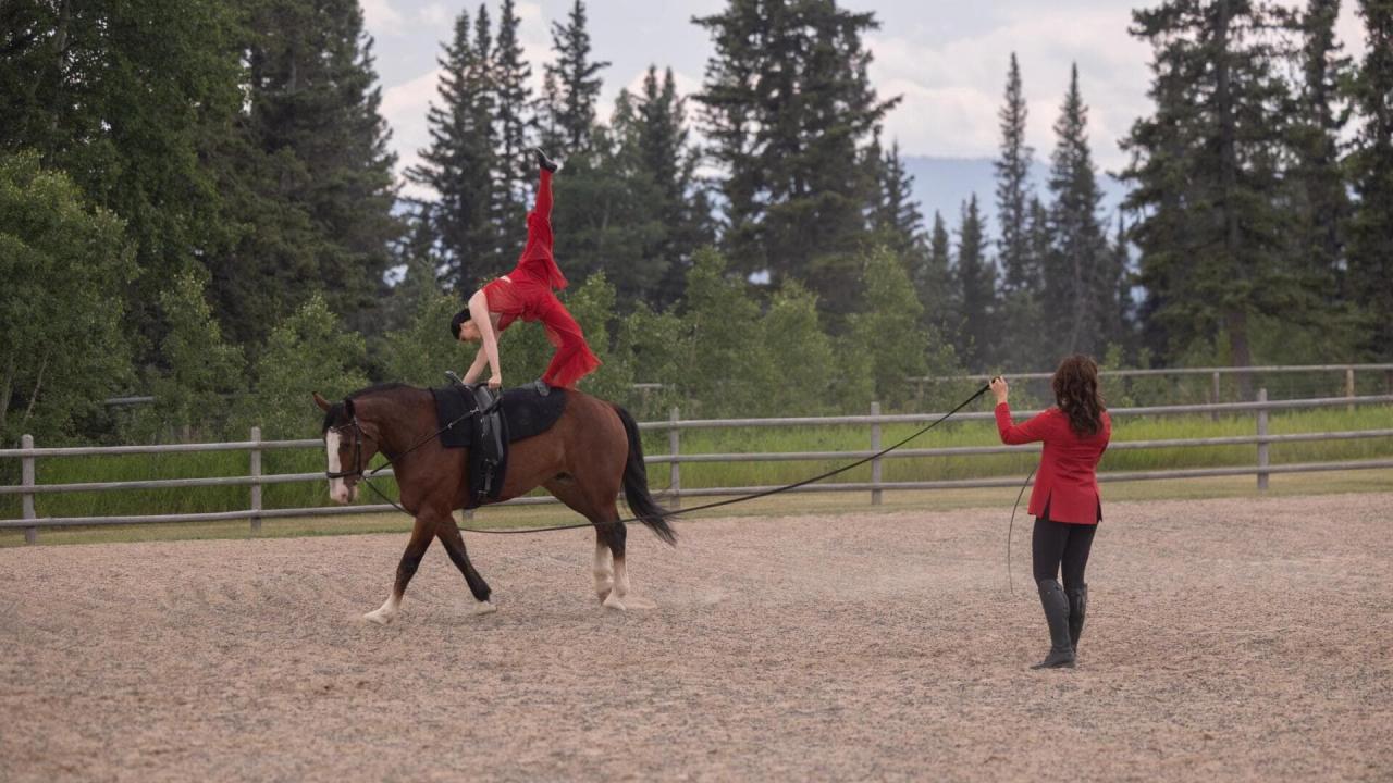 Heartland S17 E8