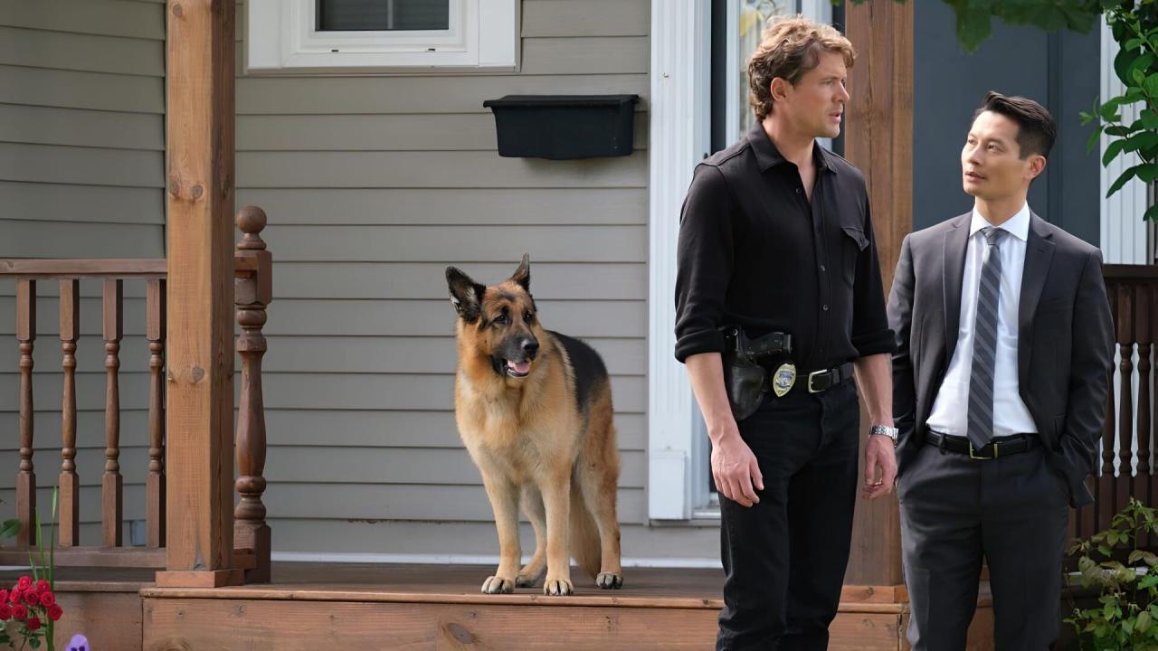 Hudson et Rex S6 E7
