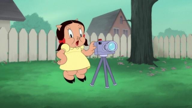 Looney Tunes Cartoons