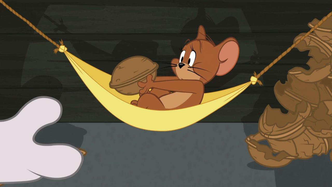 Tom et Jerry Show