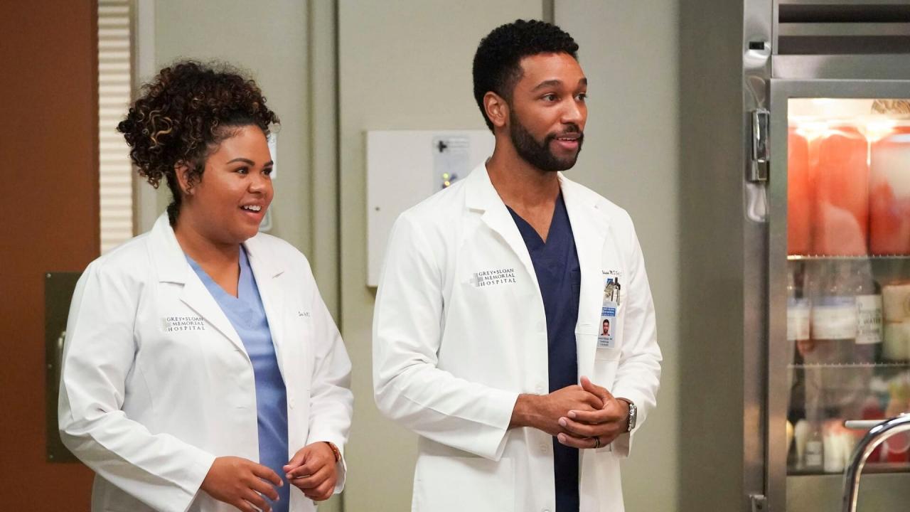 Grey's Anatomy S18 E3