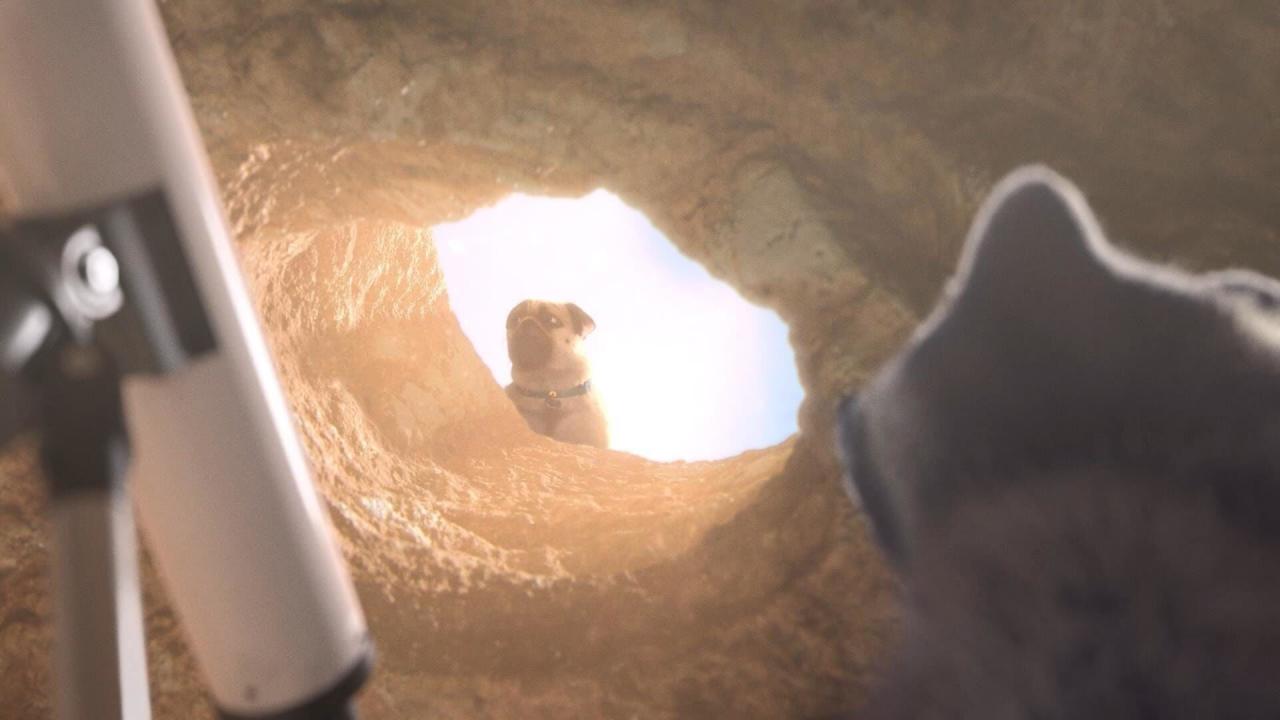 Mike, une vie de chien S1 E74