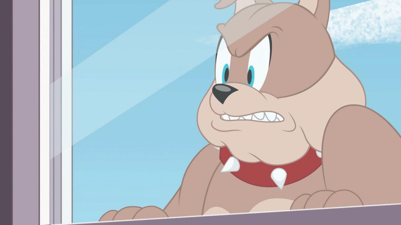 Tom et Jerry Show