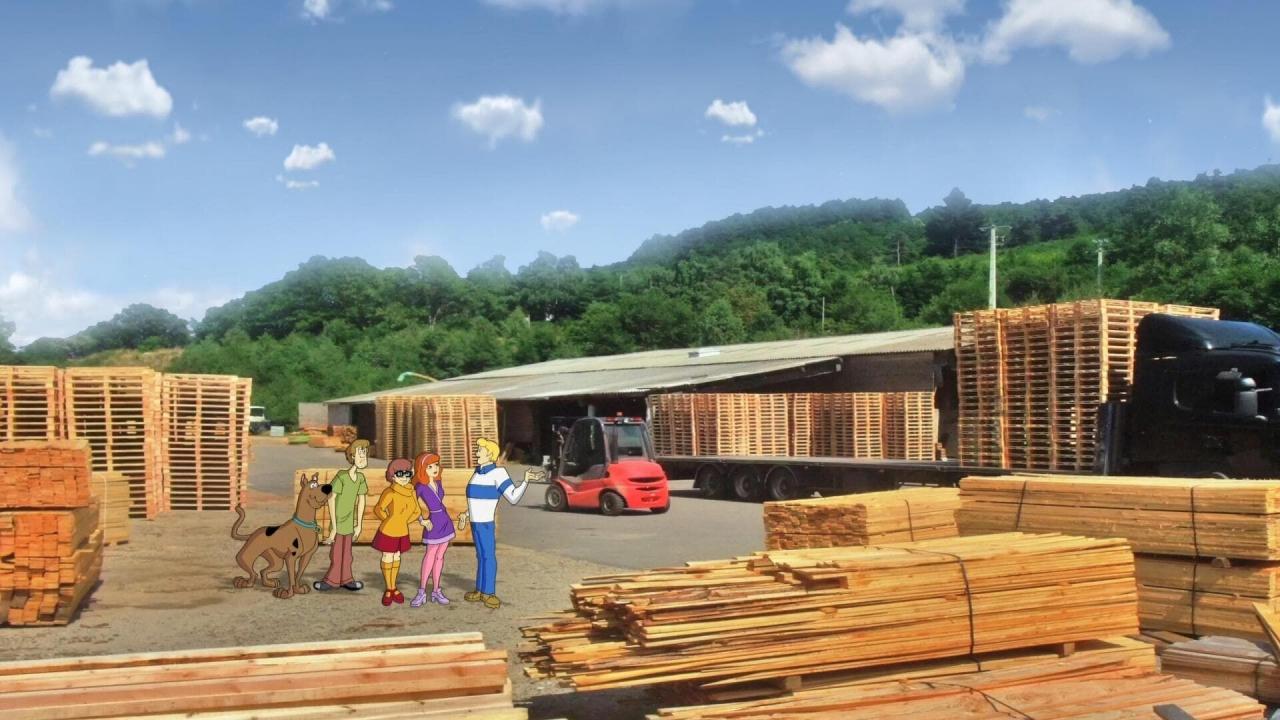 Scooby-Doo : Mission Environnement S1 E5