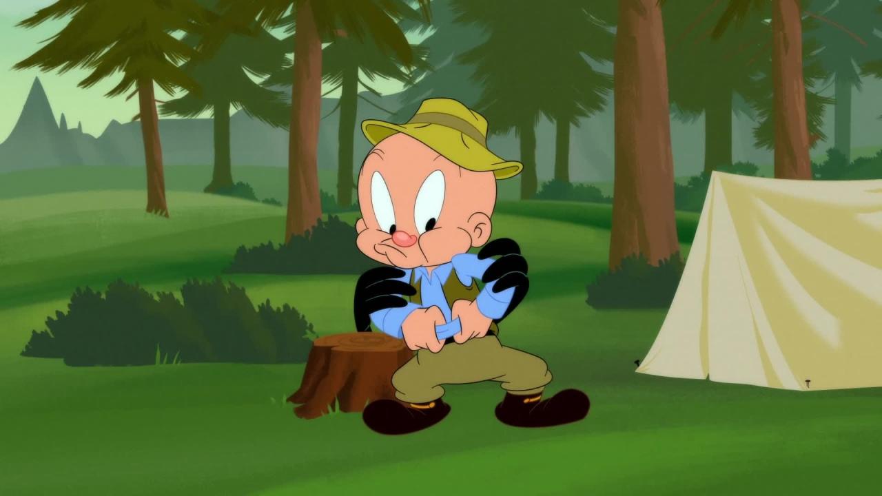 Looney Tunes Cartoons