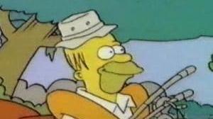 Les Simpson