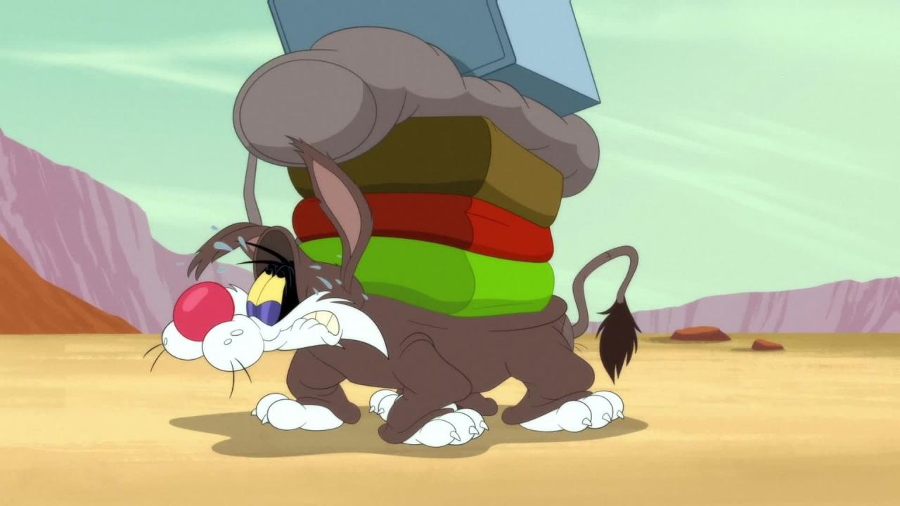 Looney Tunes Cartoons