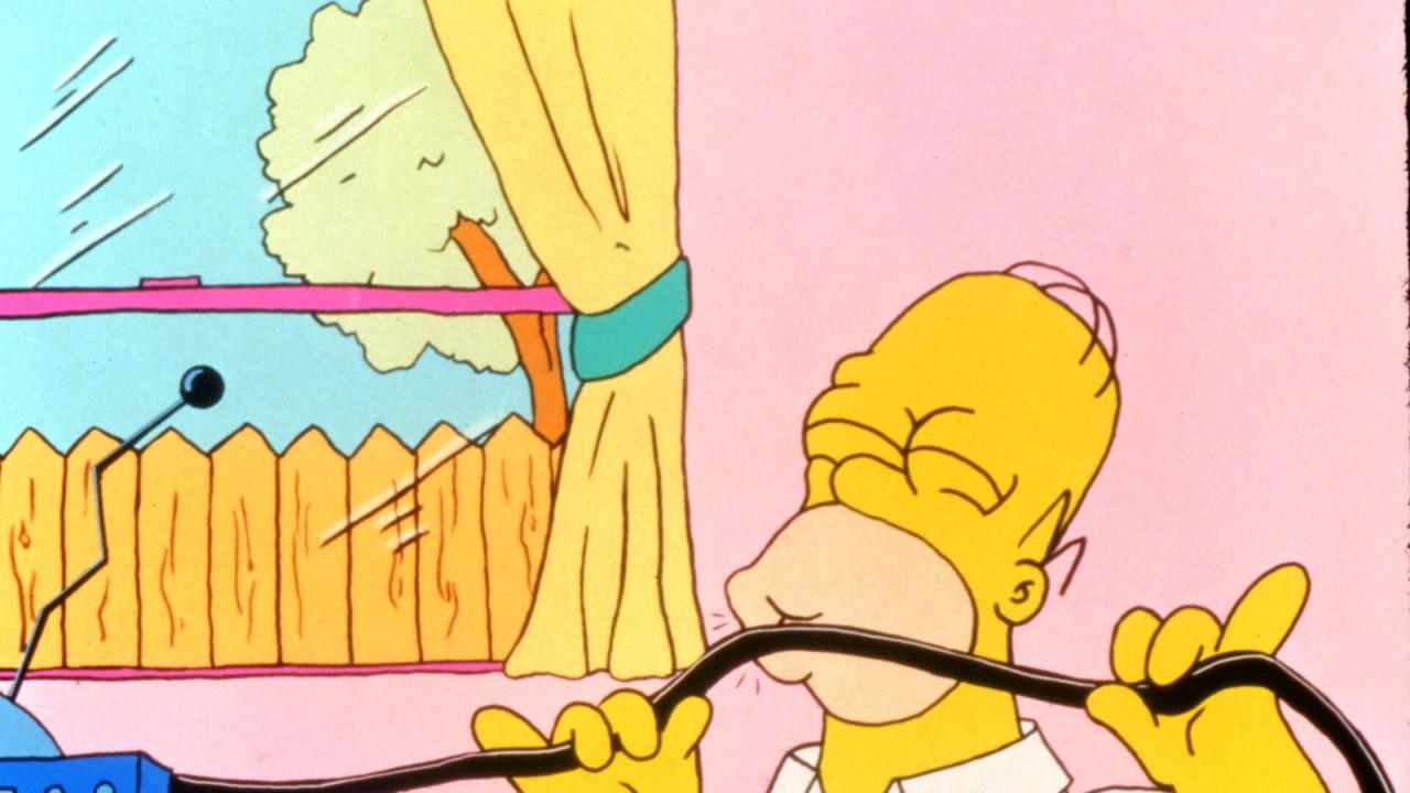 Les Simpson S2 E13