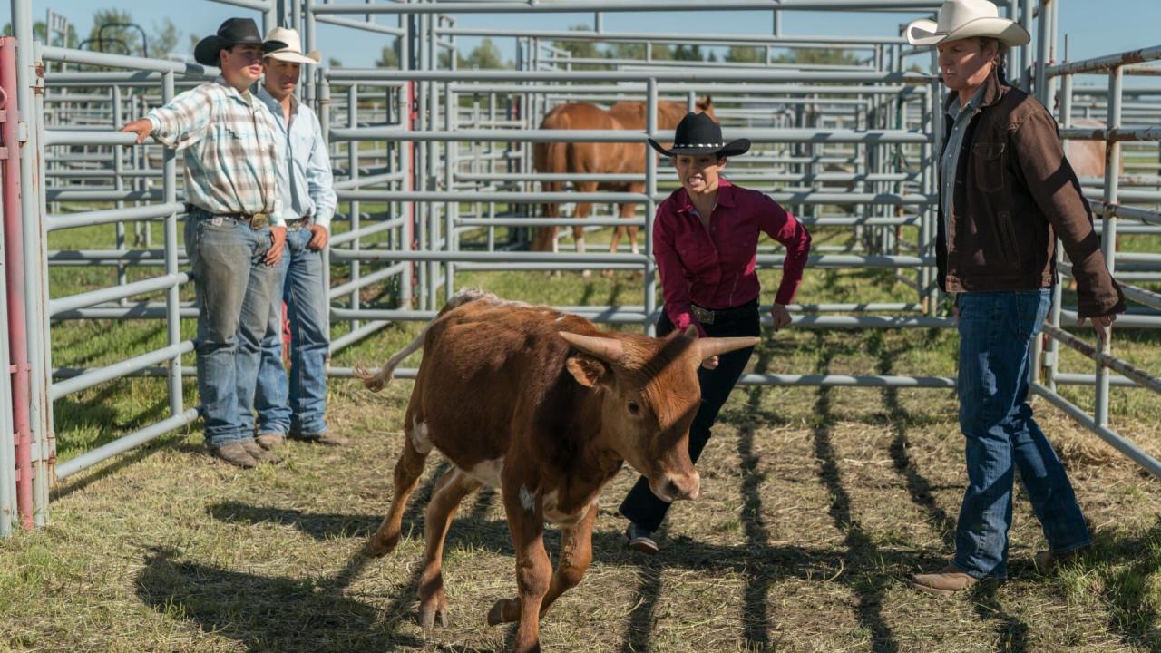 Heartland S11 E3