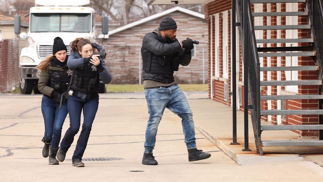 Chicago Police Department S11 E7