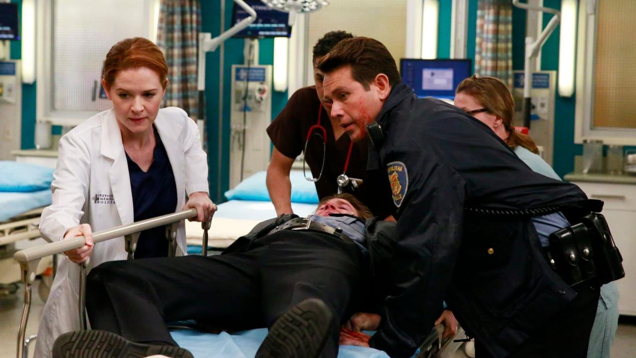 Grey's Anatomy S11 E18