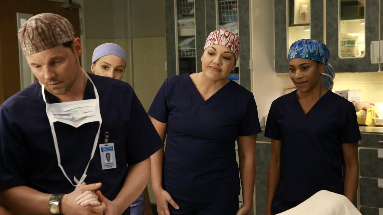 Grey's Anatomy S12 E10