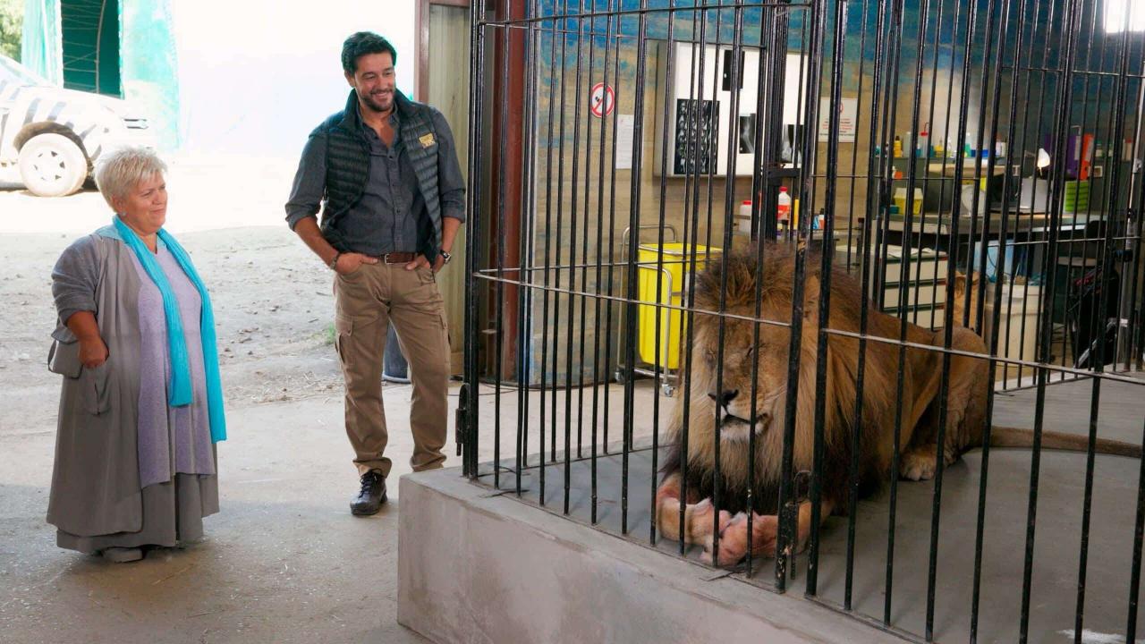 Joséphine, ange gardien