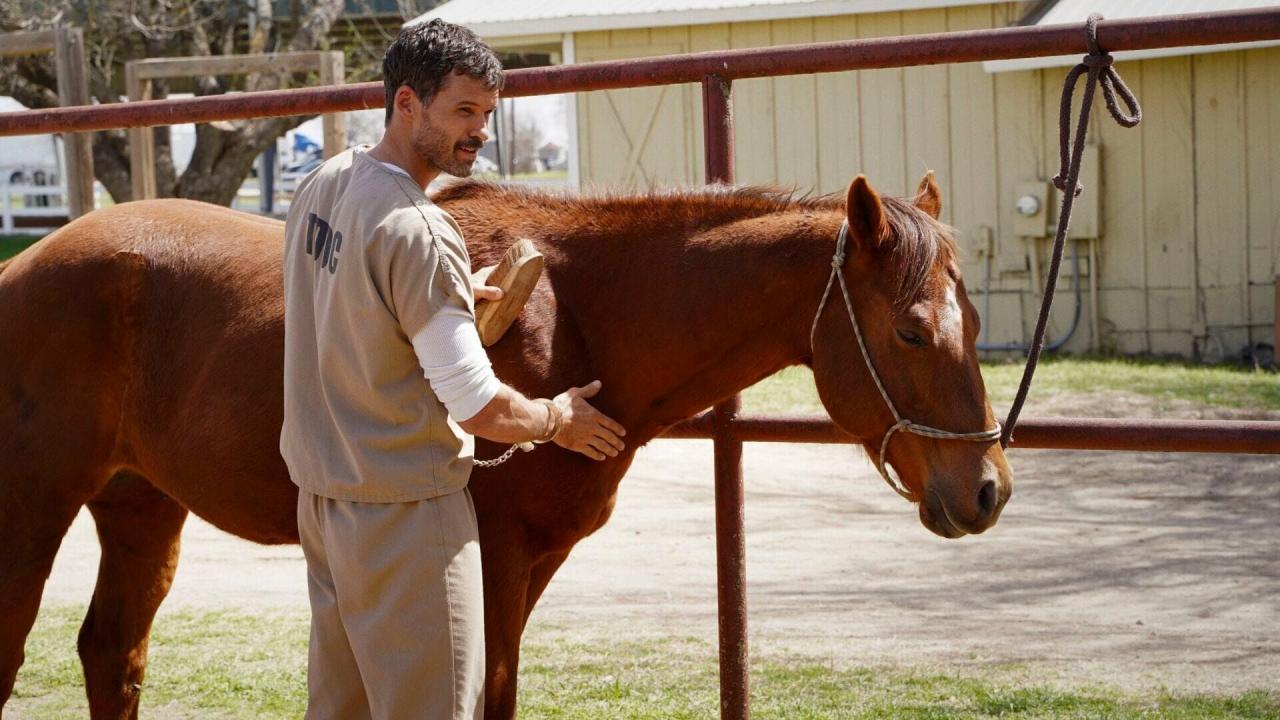 Walker S1 E10