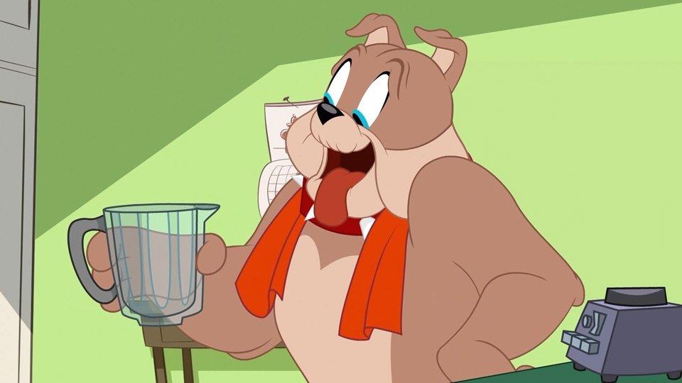 Tom et Jerry Show