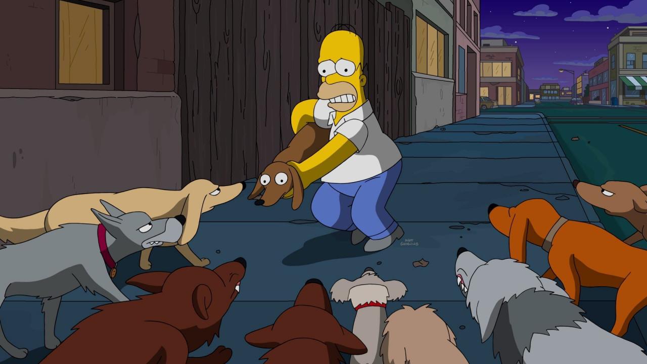 Les Simpson S28 E22