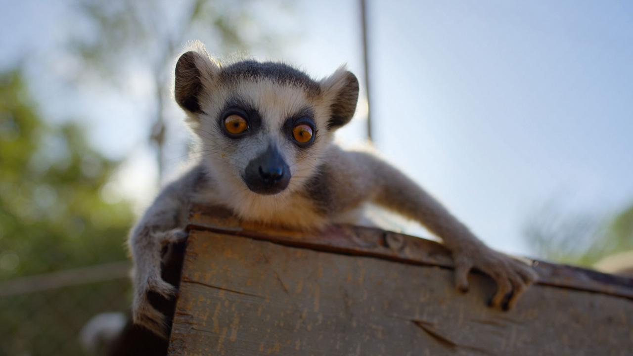 Naturellement sauvages