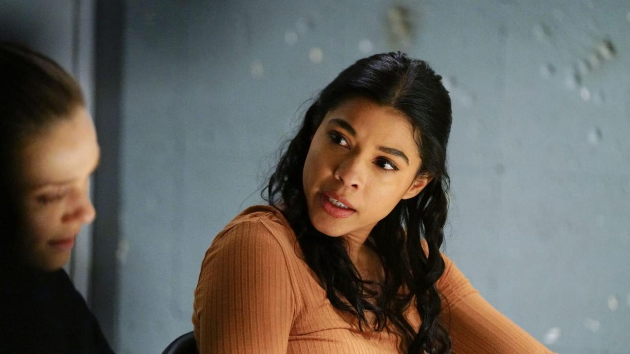 Chicago Police Department S7 E14