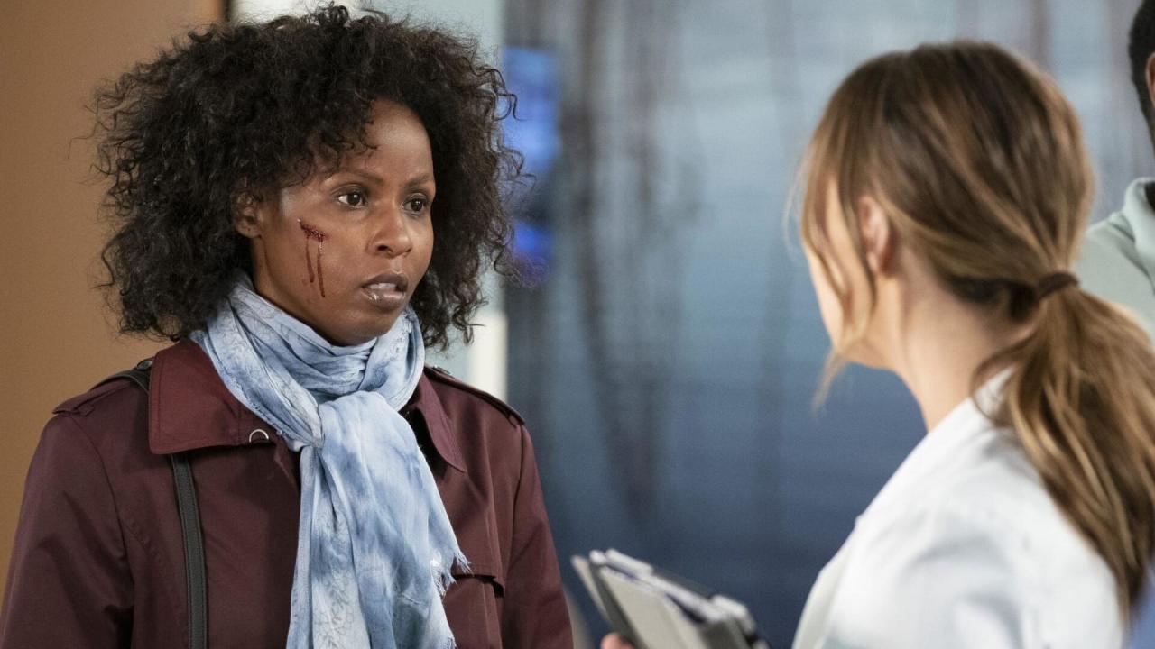 Grey's Anatomy S15 E19