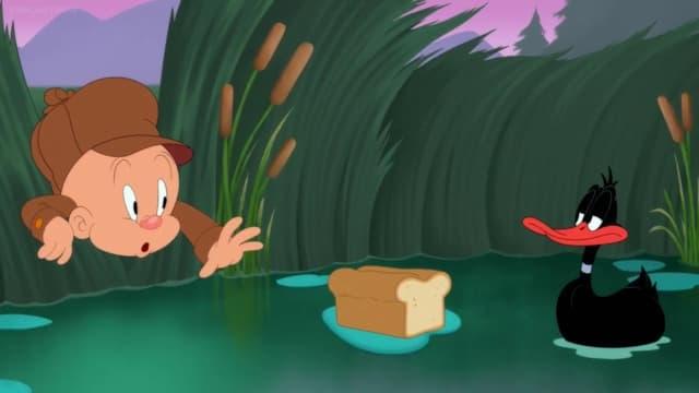 Looney Tunes Cartoons