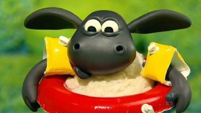 Voici Timmy
