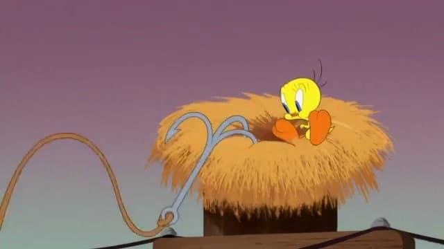 Looney Tunes Cartoons