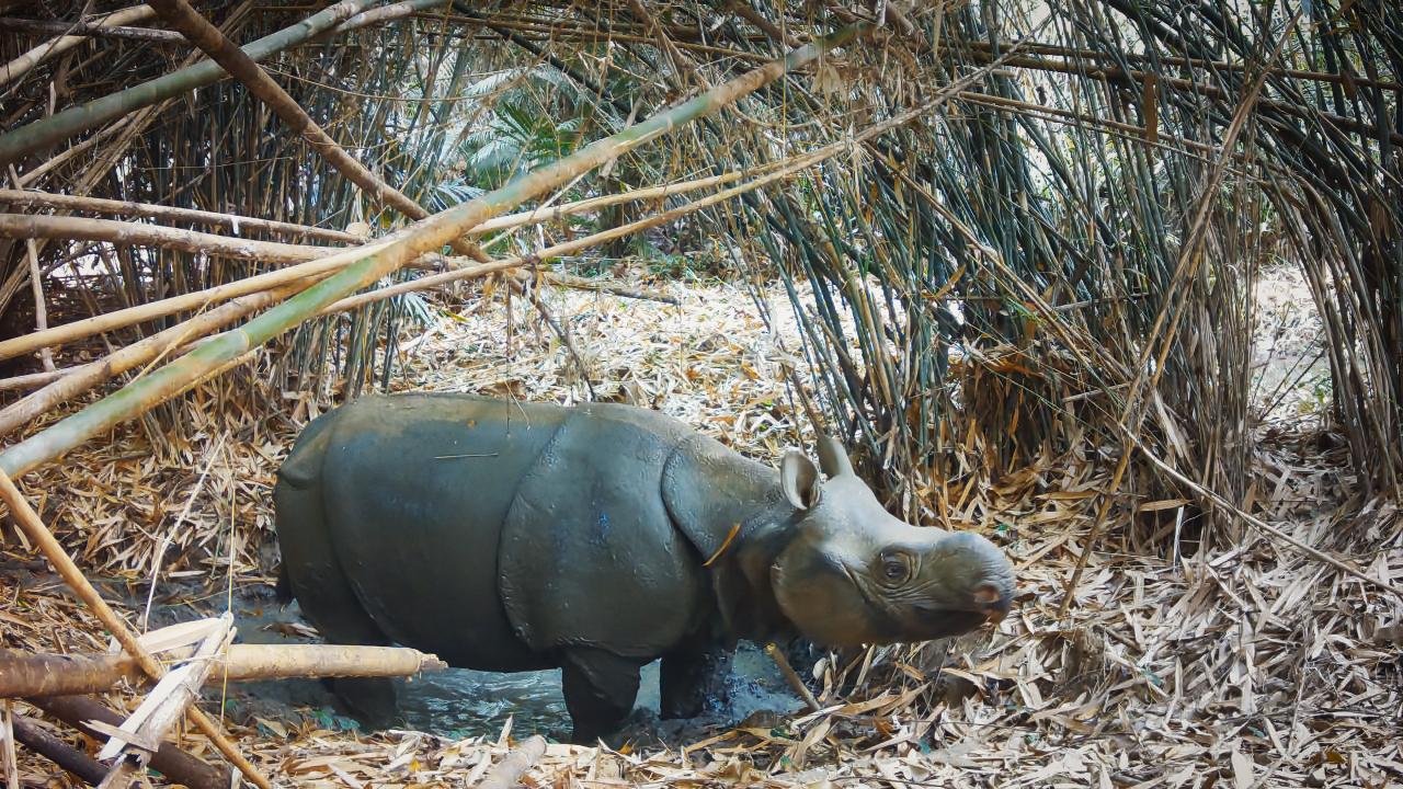 L’Aventure sauvage