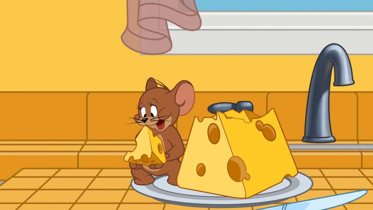 Tom et Jerry Show