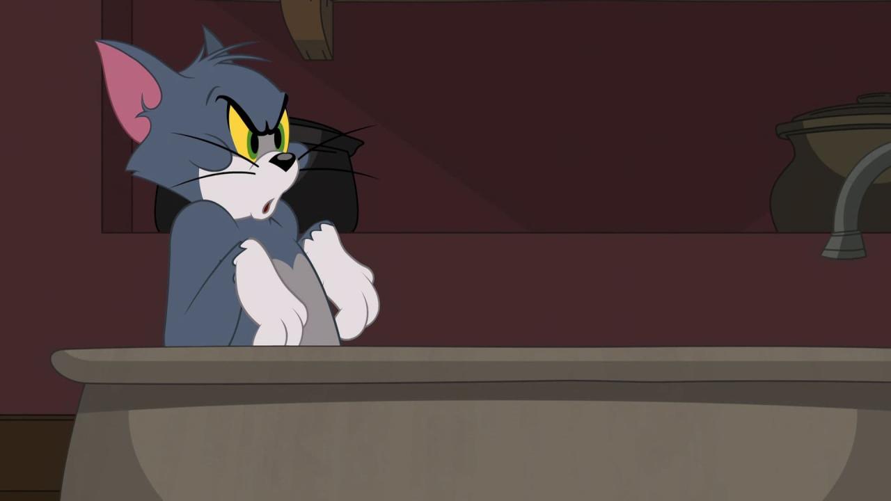 Tom et Jerry Show
