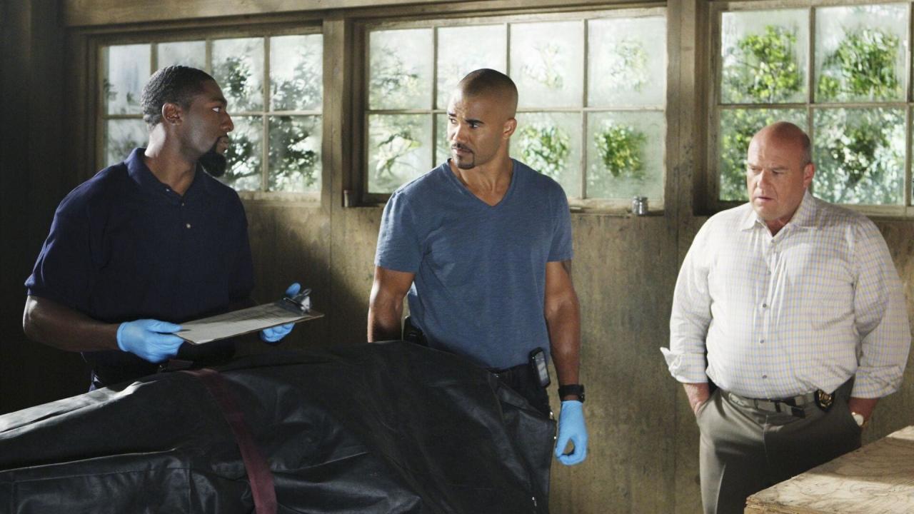 Esprits criminels S10 E12