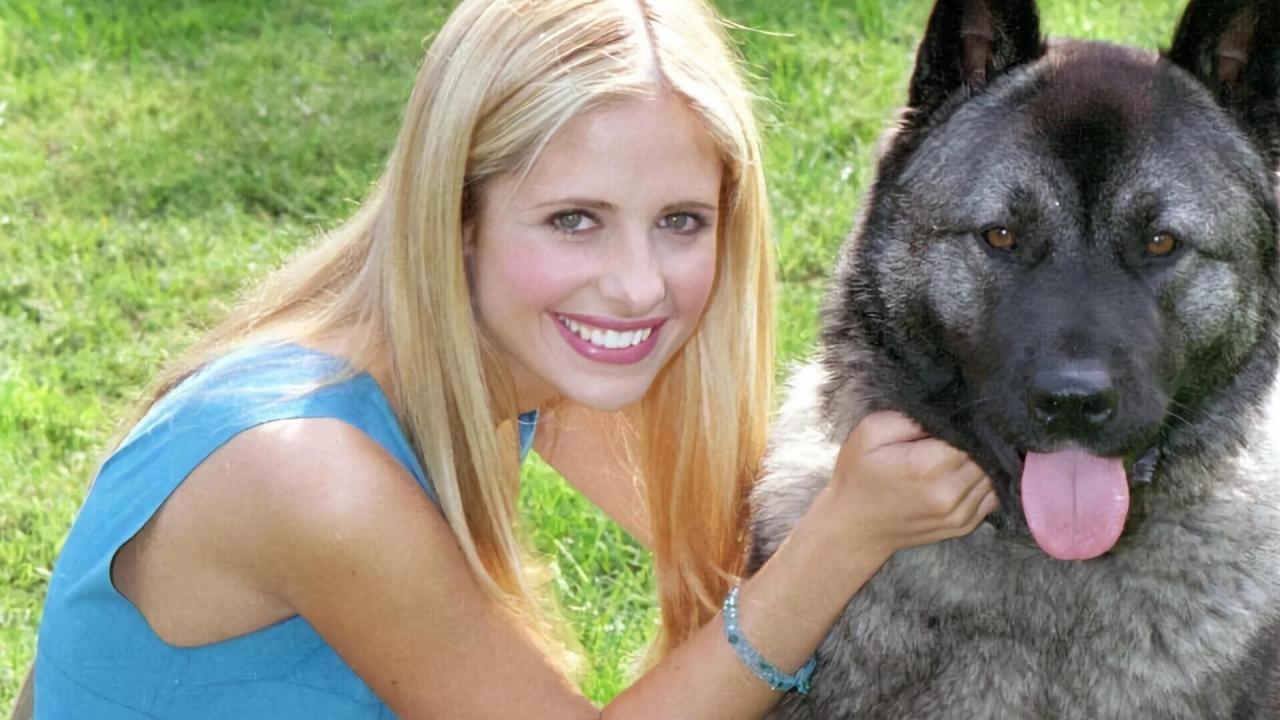 Buffy contre les vampires S4 E10