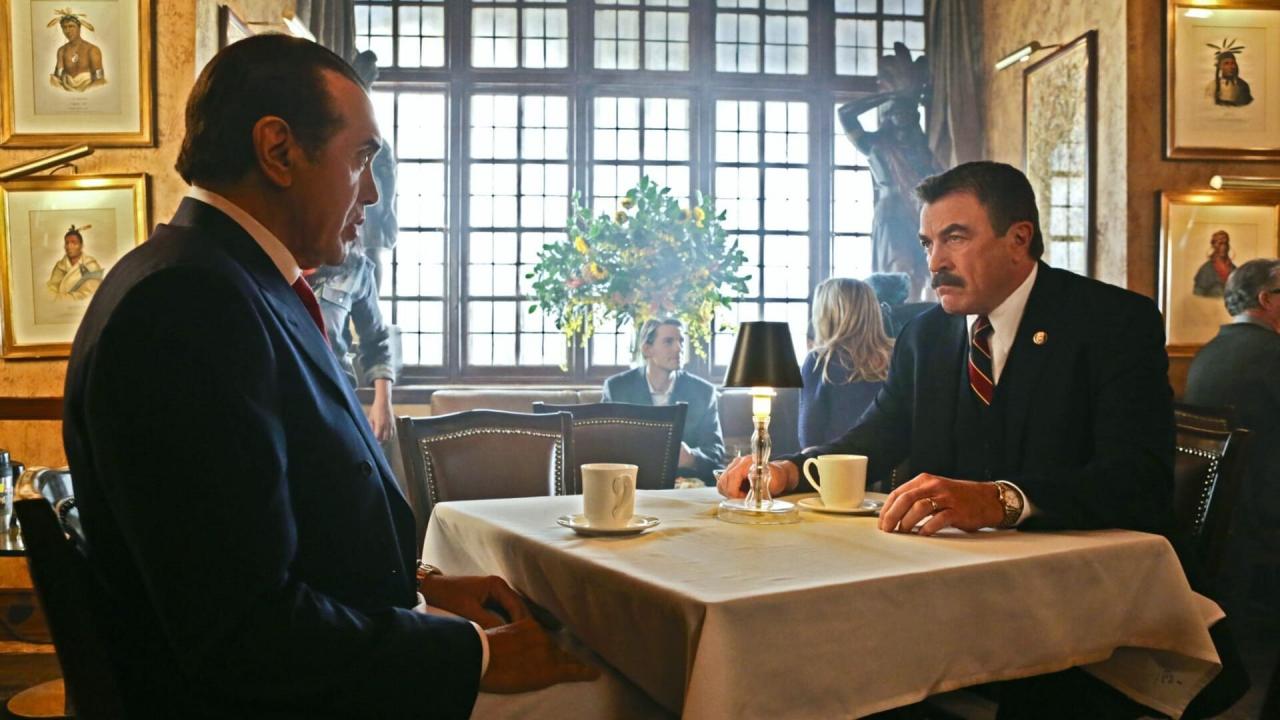 Blue Bloods S3 E9