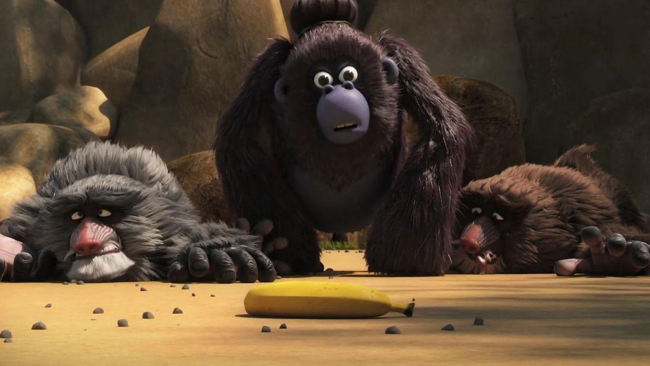 Les As de la jungle en direct
