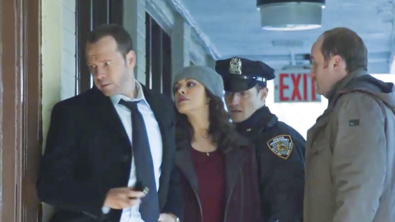 Blue Bloods S5 E12