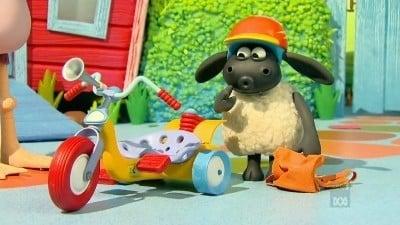 Voici Timmy
