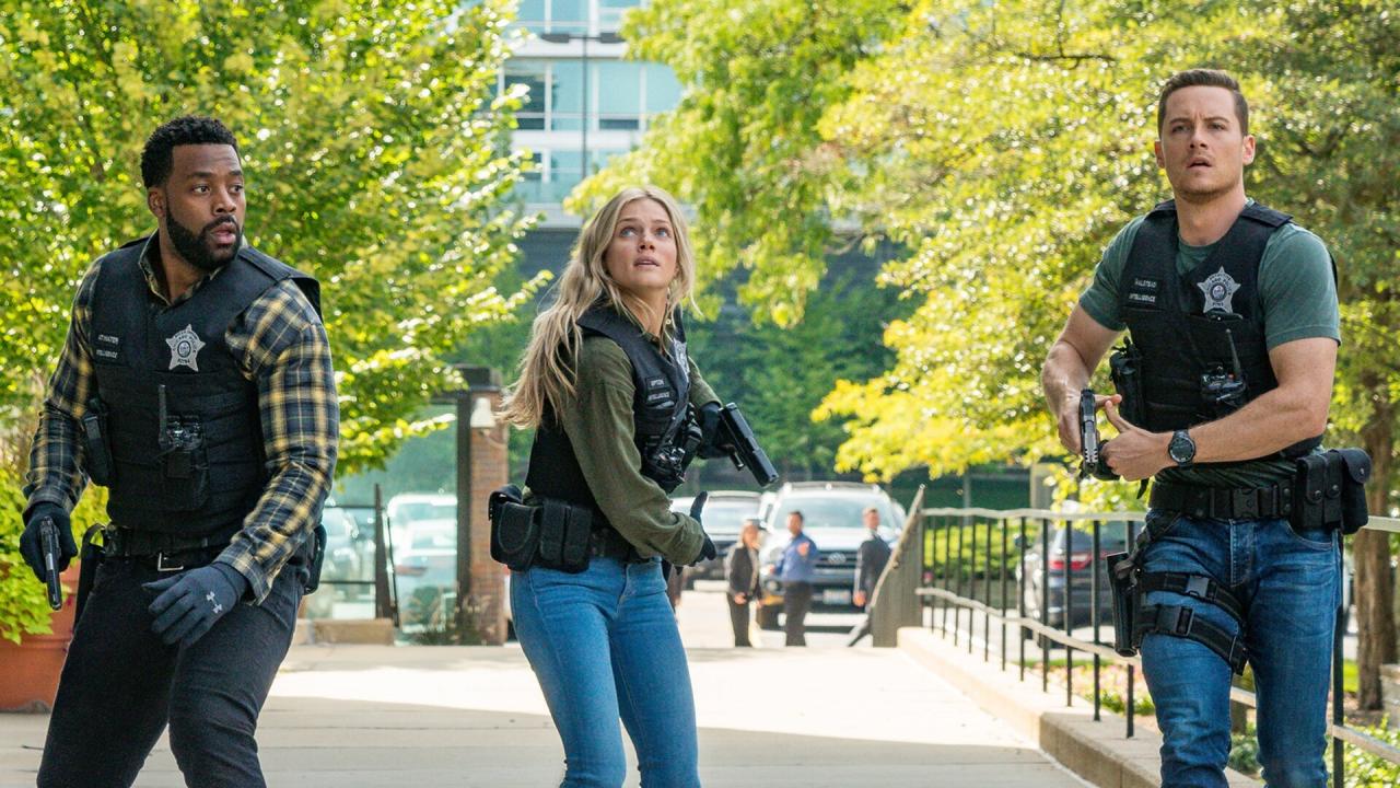 Chicago Police Department S10 E18