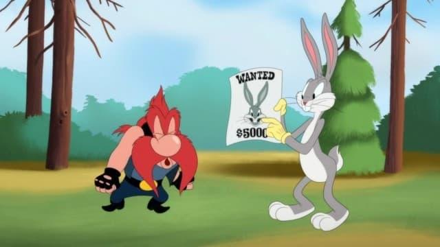 Looney Tunes Cartoons