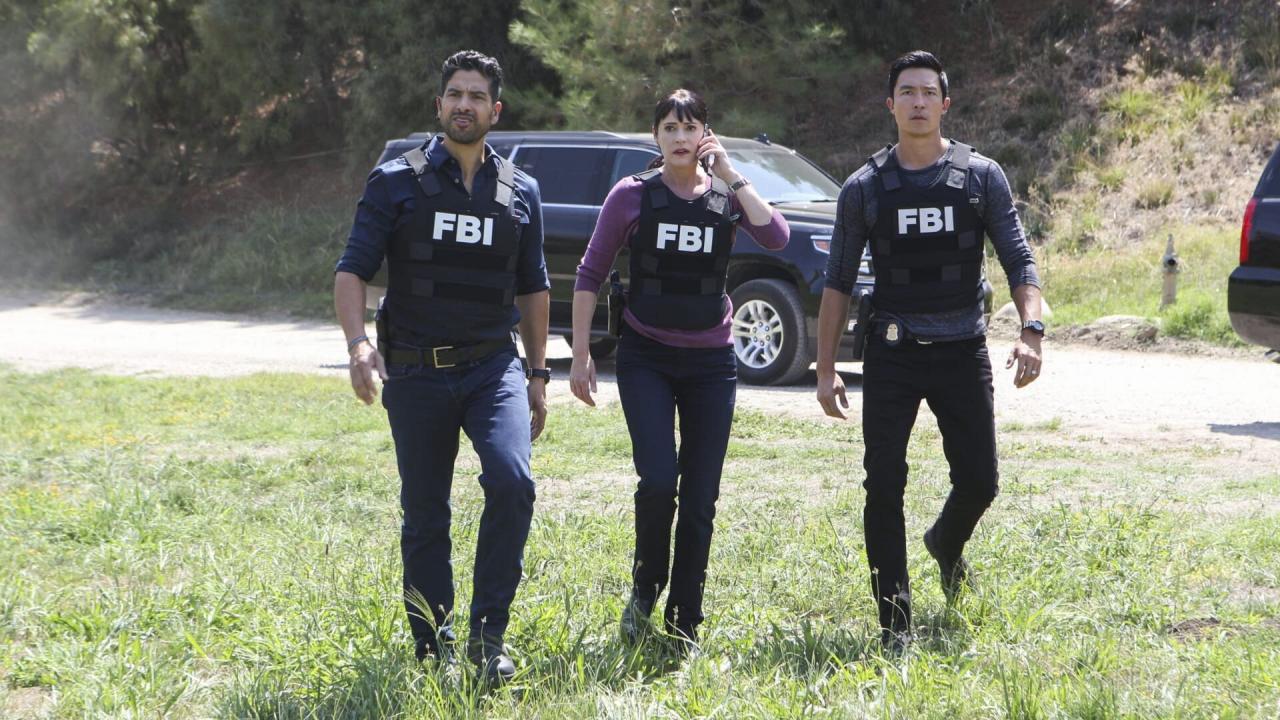 Esprits criminels S8 E13