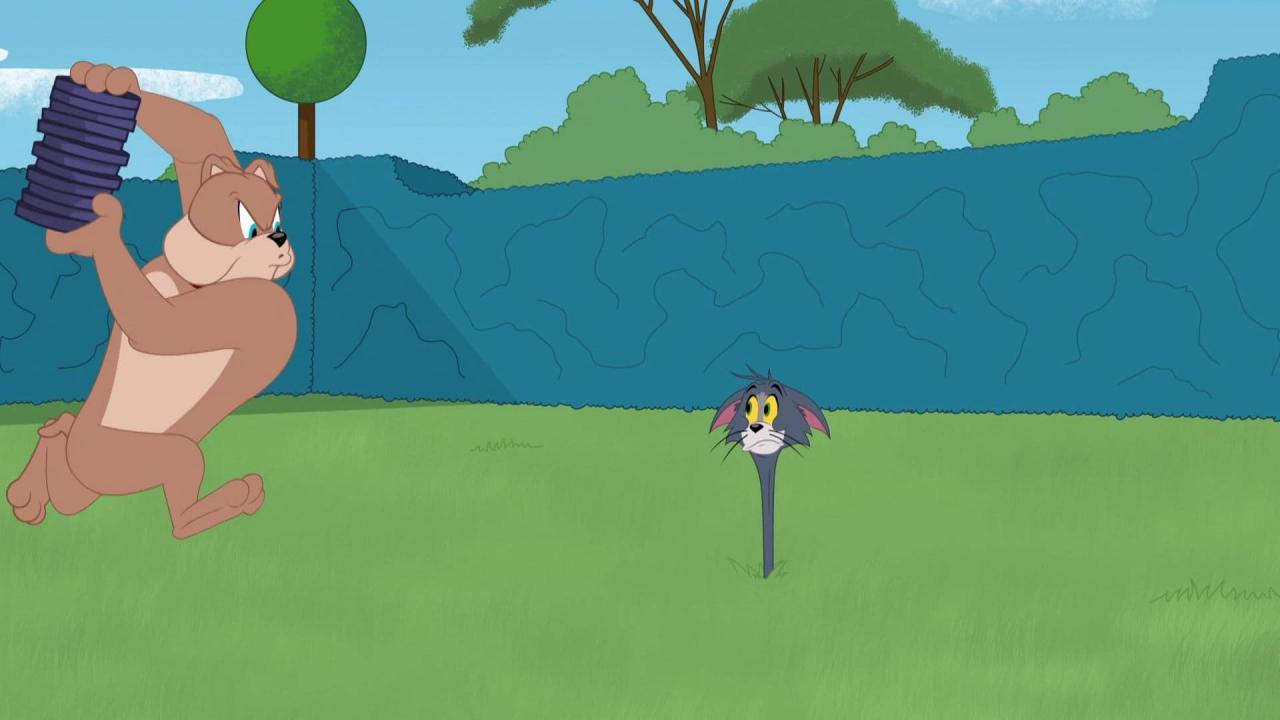 Tom et Jerry Show