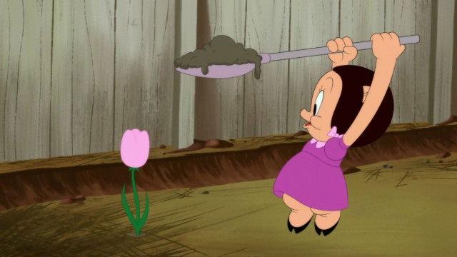 Looney Tunes Cartoons