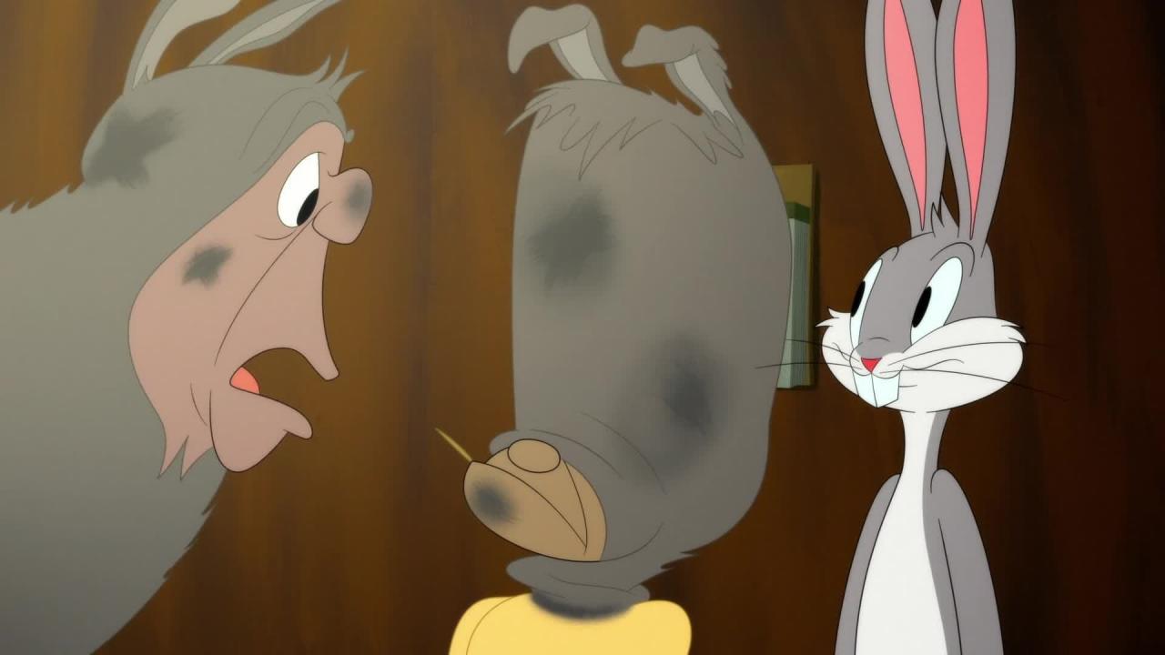 Looney Tunes Cartoons