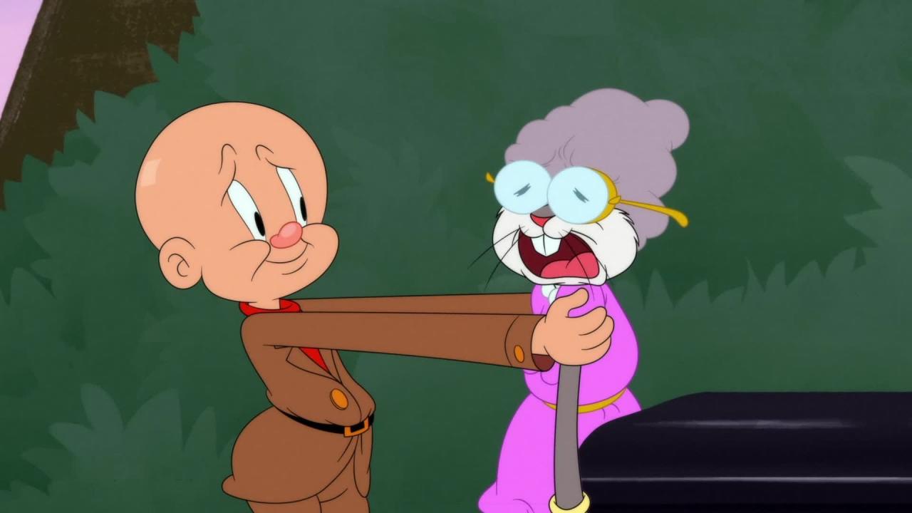 Looney Tunes Cartoons