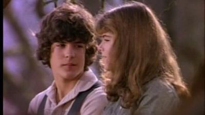 La Petite Maison dans la prairie