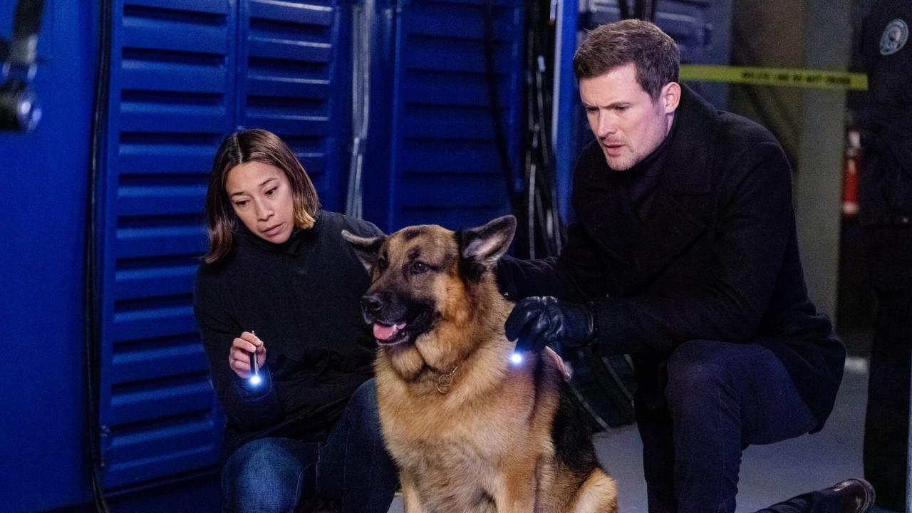 Hudson et Rex S4 E16